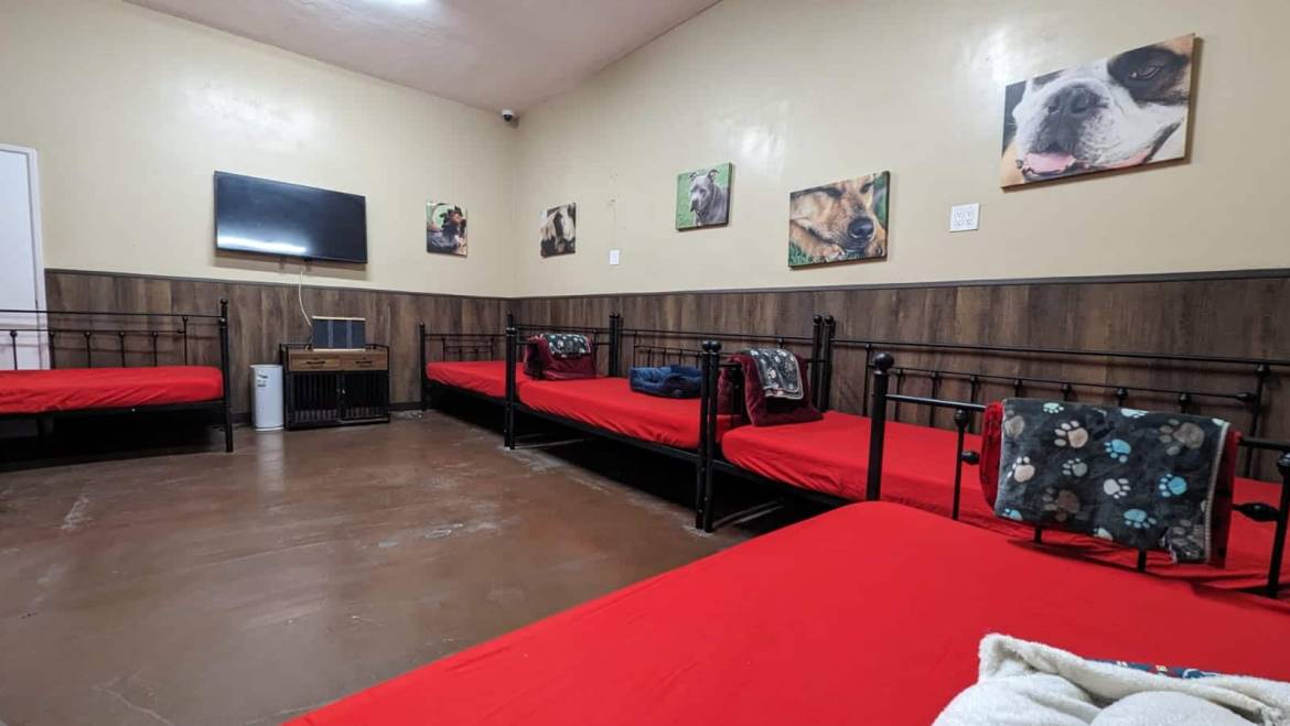 Is it Safe to Leave Your Dog at a Pet Hotel?