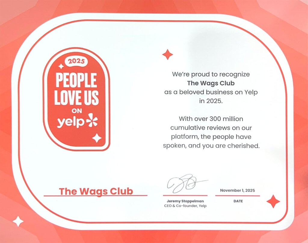 The Wags Club Yelp Award, People Love us on Yelp